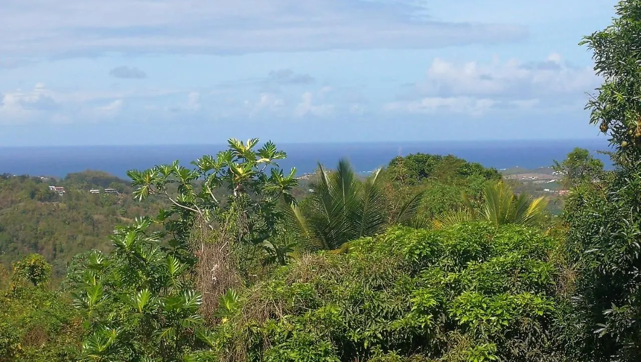 Loue Maison En Martinique location